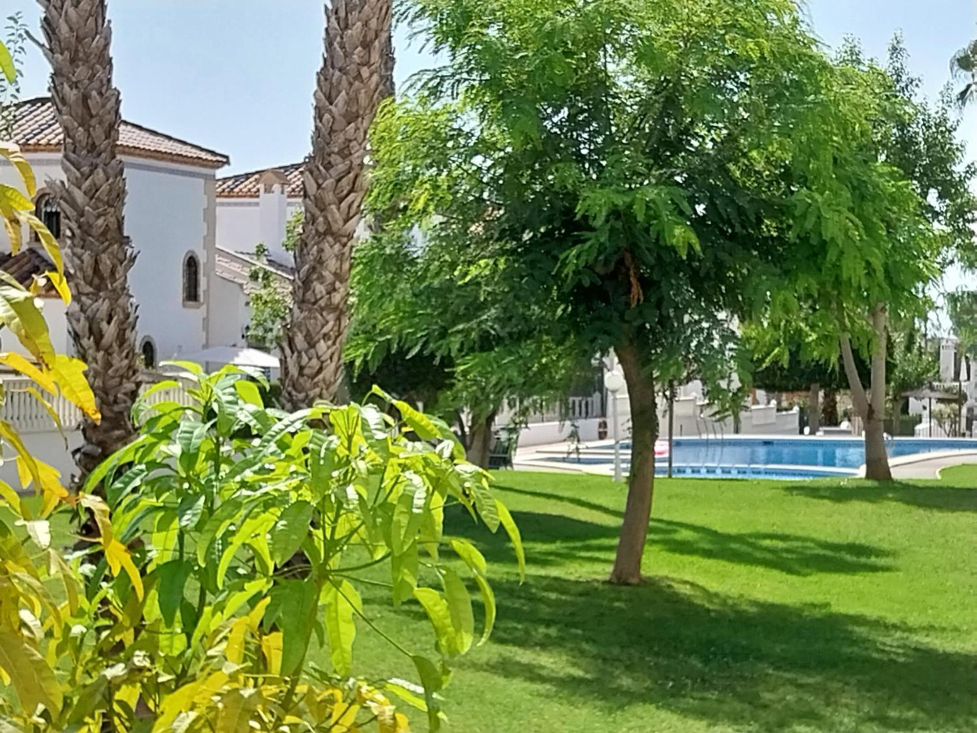 Charming Apartment In Front Of Villamartin Golf And Plaza Екстериор снимка