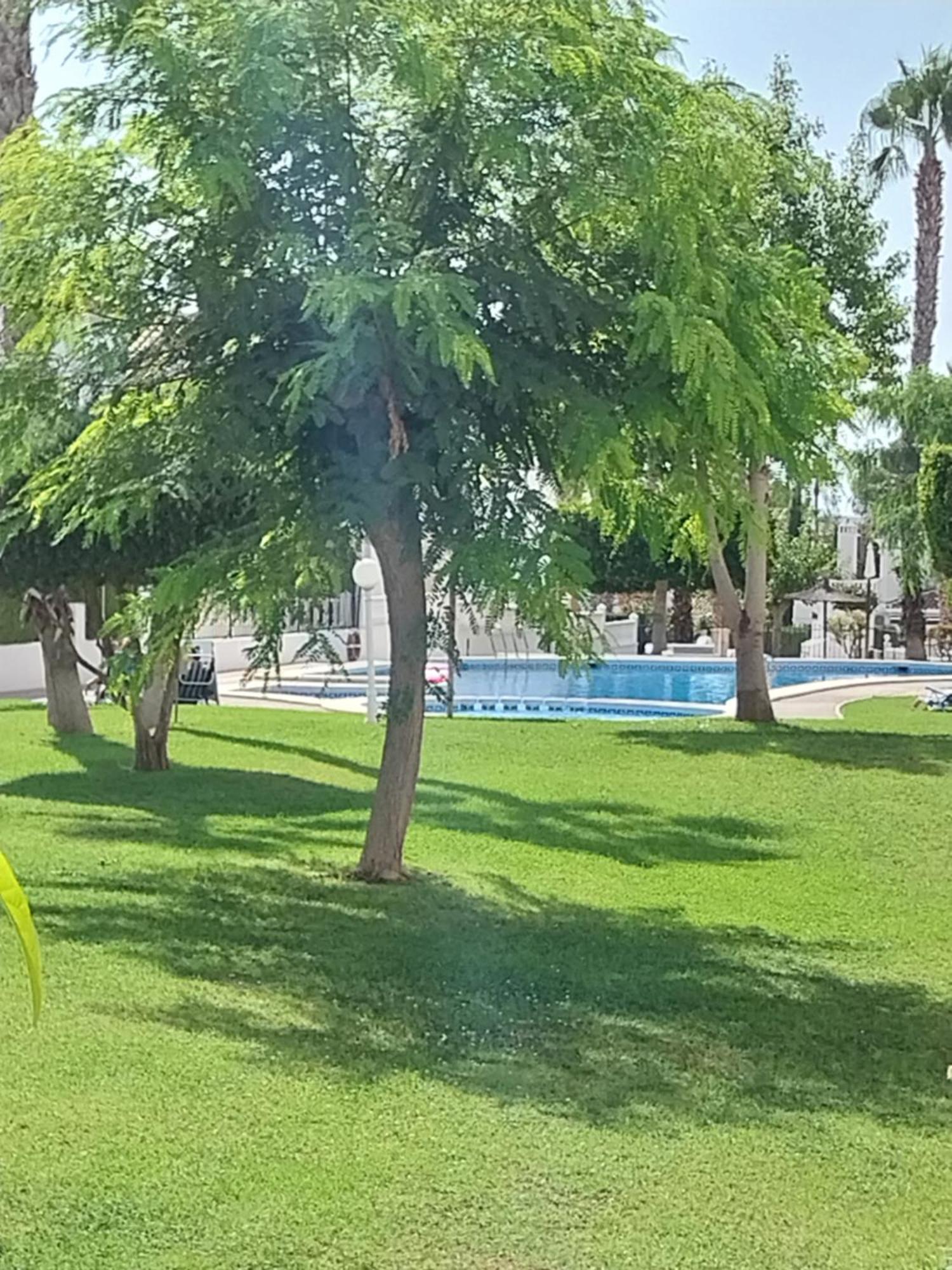 Charming Apartment In Front Of Villamartin Golf And Plaza Екстериор снимка